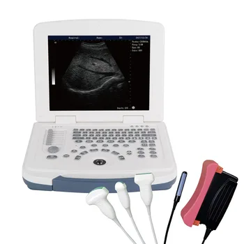 Portátil Veterinária Digital Completo B/W Scanner De Ultra-Som, Laptop Animal De Estimação Canino Máquina De Ultra-Som