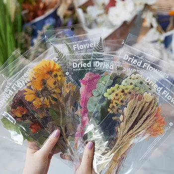 6Pcs animal de ESTIMAÇÃO Etiqueta Grande fim-de-Semana Flower Shop Série de Plantas Mão de Contabilidade Diário DIY Material Decalque 6 Folhas