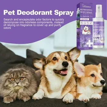 Óleo de lavanda Cão Desodorante Spray de Longa Duração para Filhotes de Gatos Spray de Perfume