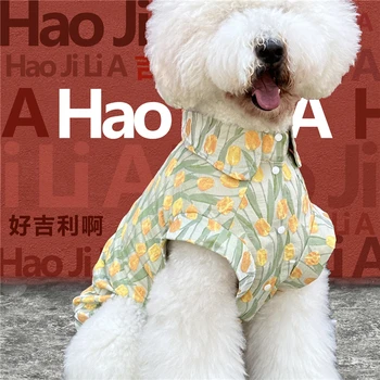 Animais De Estimação Gigante Raça De Cães Poodle Roupas Camisa De Moda