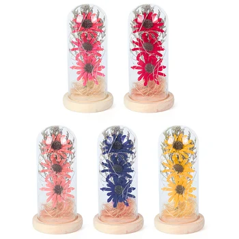 Seca de Girassol Banquete Flores na Cúpula de Vidro de Seqüência de caracteres de Luz de Dia dos Namorados Presente